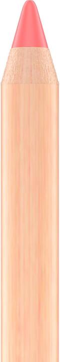 Actual product image Sante Lip Liner Soft Mineral 01 Gentle Rose (01 Gentle Rose)
