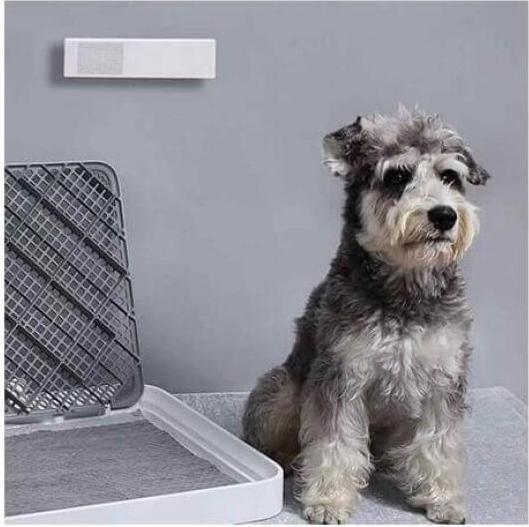 Immagine prodotto Petkit Pura Air Smart Odour Eliminator (Cane, Gatto)