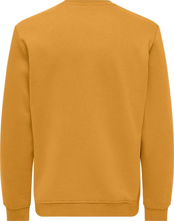 Produktbild Only & Sons Onsconnor Reg Crew Neck Sweat Noos (M)