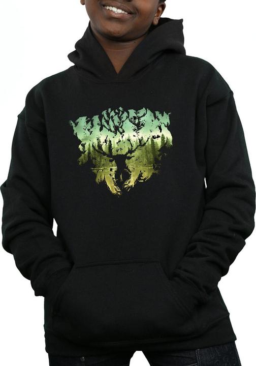 Produktbild Magical Forest Kapuzenpullover Jungen (152, 158)