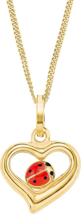 Actual product image Amor Sets (Gold)