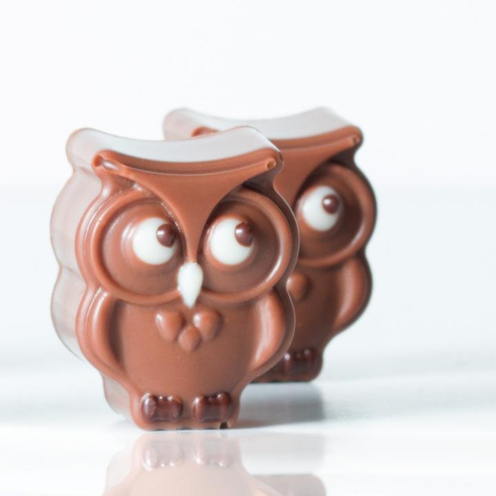 Actual product image Pavoni Chocolate mould owls