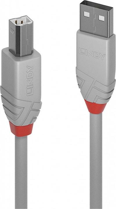 Immagine prodotto Lindy USB A - USB B (1 m, USB 2.0)