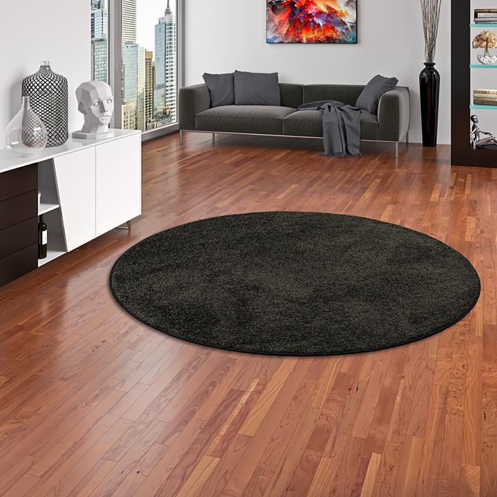 Image du produit Snapstyle Tapis en velours à poils longs Mona (Ø 160 cm)