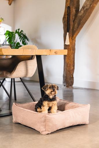 Image du produit Designed by Lotte Ribbed (Chien)