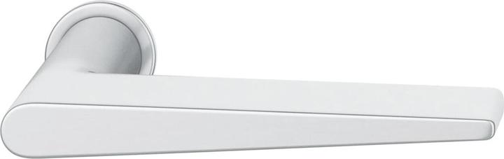 Actual product image FSB Push-in handle 15 1005 on mini rosette, door thickness 39-48 mm, matt stainless steel (Door handle)