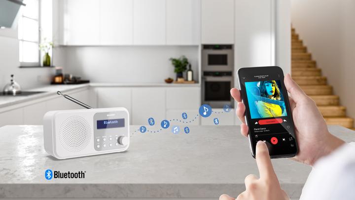 Actual product image Sharp DR-P420 (DAB+, DAB, FM, Bluetooth)