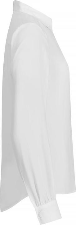 Actual product image Clique Womens/Ladies Libby Formal Shirt (XL)