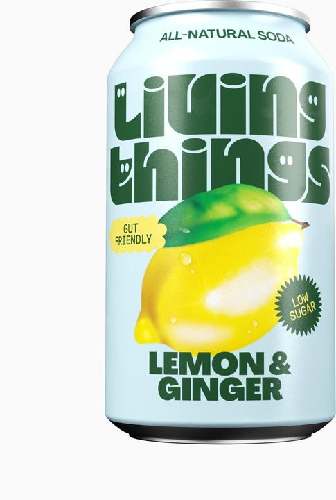 Image du produit Living Things Soft-Drinks Lemon & Ginger 12 x 0.33 l (12 x 33 cl)