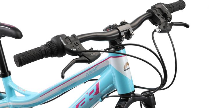 Actual product image Bikestar Hardtail mountain bike (33.02 cm)