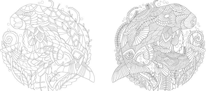 Actual product image Millie Marotta's Wonderful Planet - The most beautiful colouring adventures