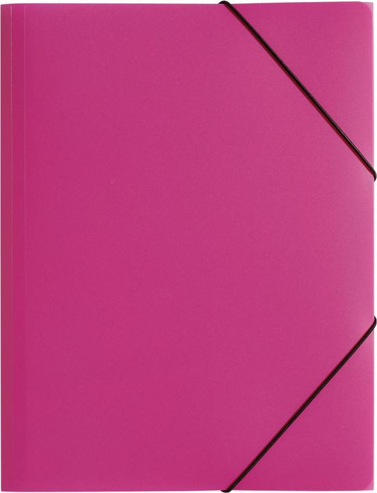 Actual product image Pagna Rubber band folder (A4, 1 x)
