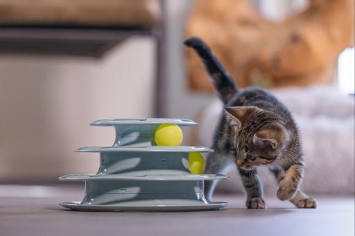 Immagine prodotto Beeztees Bo (Catmint giocattolo)