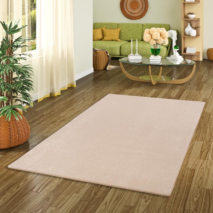 Produktbild Snapstyle Hochflor Luxus Velours Teppich Touch (80 x 320 cm)