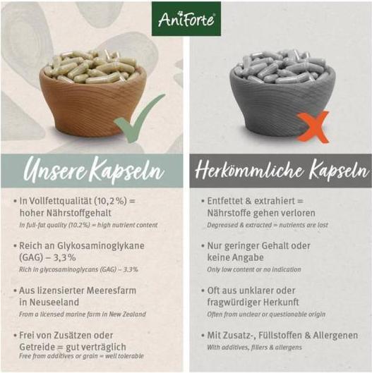 Produktbild AniForte Grünlippmuschel Kapseln (Adult, 1 Stk., 70 g)