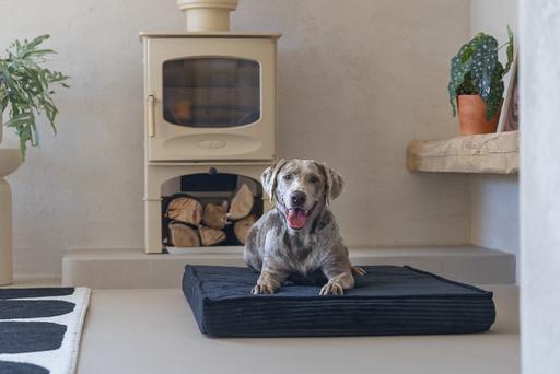 Actual product image Designed by Lotte Orthopaed cage cushion Ribbed (Dog)