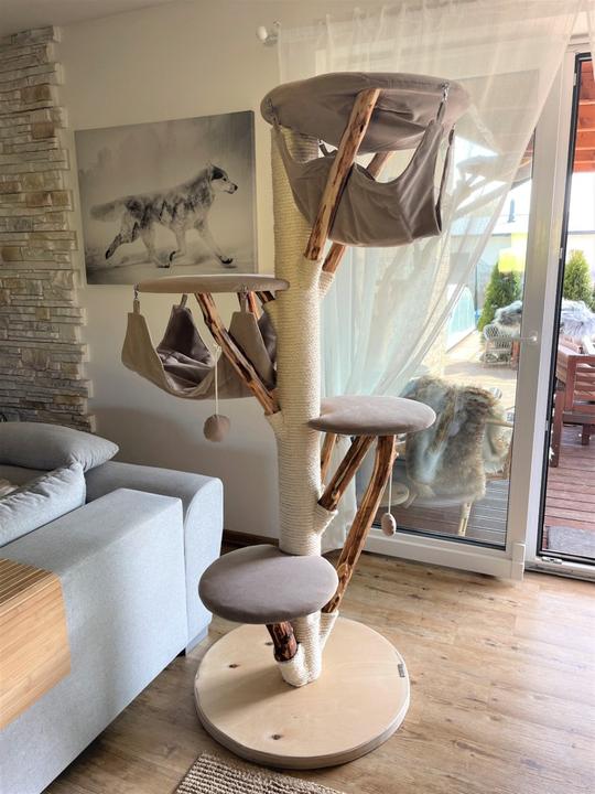 Image du produit Pet Homes Trois rois (185 cm, Beige)