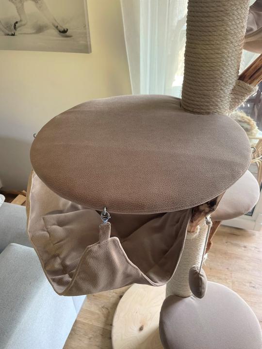 Image du produit Pet Homes Trois rois (185 cm, Beige)
