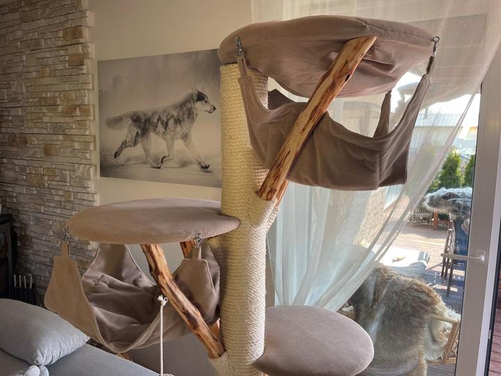 Image du produit Pet Homes Trois rois (185 cm, Beige)