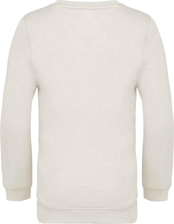 Actual product image Native Spirit Childrens/Kids Sweatshirt (158, 164)