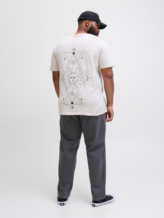Produktbild Jack & Jones Jpstkane Fctry Fabric2 L2 Chino Pant Pls (W46/L32)