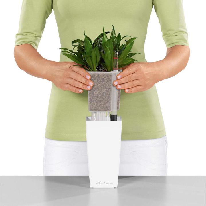 Image du produit Lechuza Mini Cubi (9.50 cm)