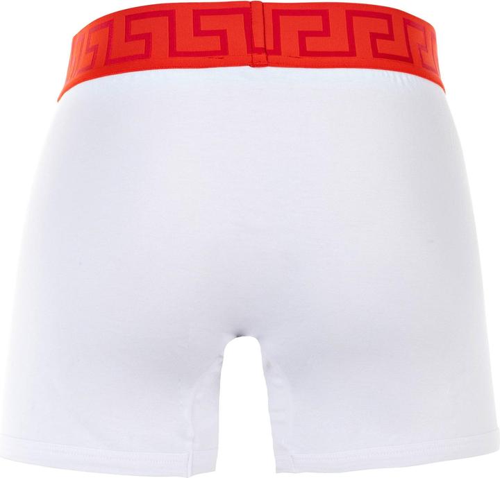 Actual product image Versace Topeka (XL, Single pack)