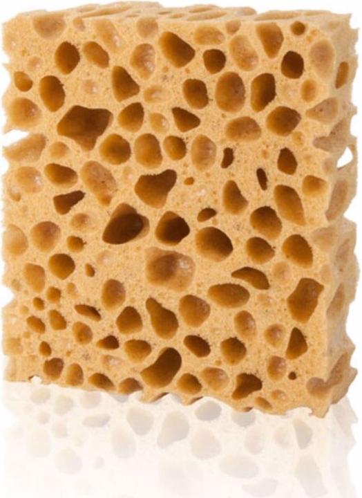 Immagine prodotto Pedag Spugna (1 x)