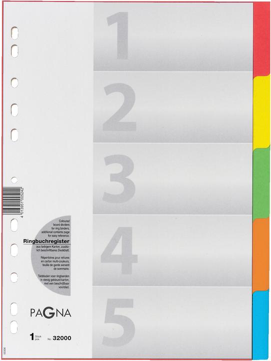 Actual product image Pagna Cardboard register for A4 - coloured