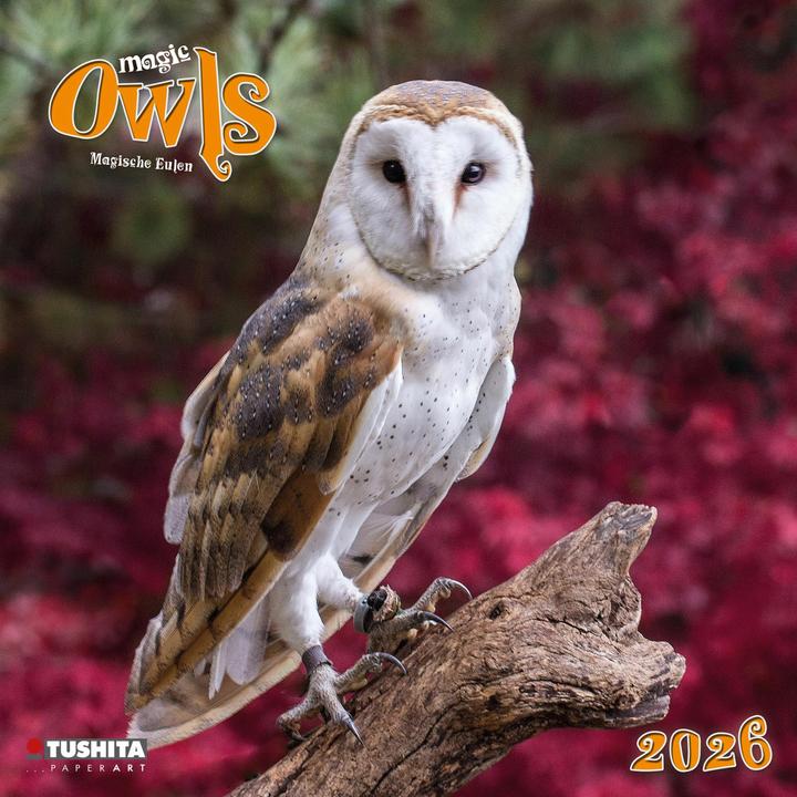Immagine prodotto Magic Owls 2026 (30 x 30 cm, Italiano, Francese, Spagnolo, Ceco, Inglese, Olandese, Polacco, Tedesco)