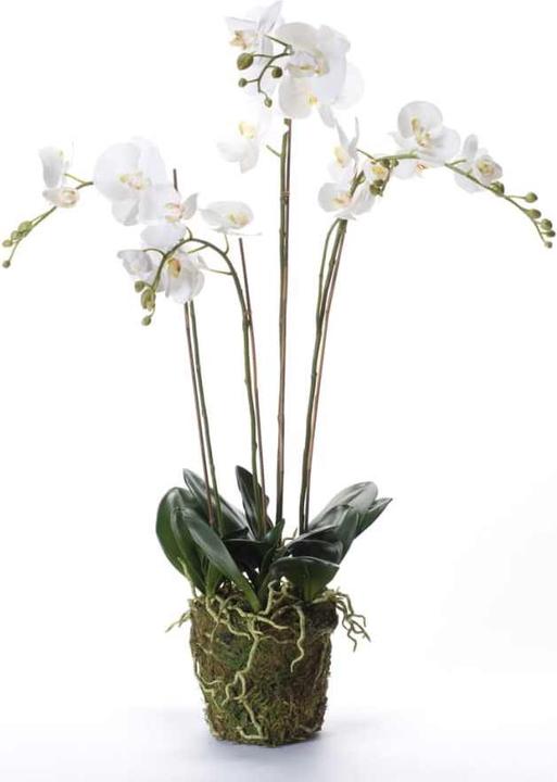 Emerald Branislava (90 cm)