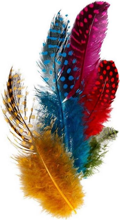 Produktbild Creativ Company Perlhuhn Federn Sortiment