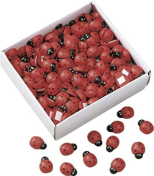 Immagine prodotto Knorr Prandell Coccinella