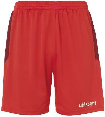Actual product image Uhlsport Goal (L)