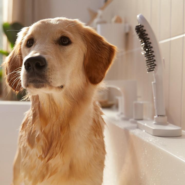 Produktbild hansgrohe DogShower Hundebrause 150 Select (3 Strahlarten, 7.60 l/min)