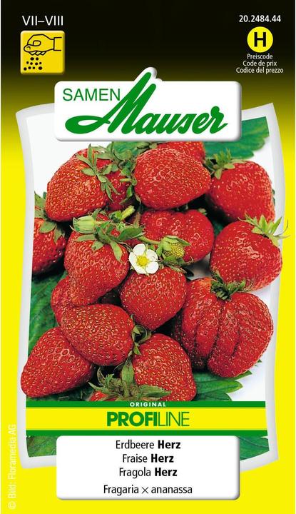 Samen Mauser Fragola F1 cuore Profiline (Seme di frutta)
