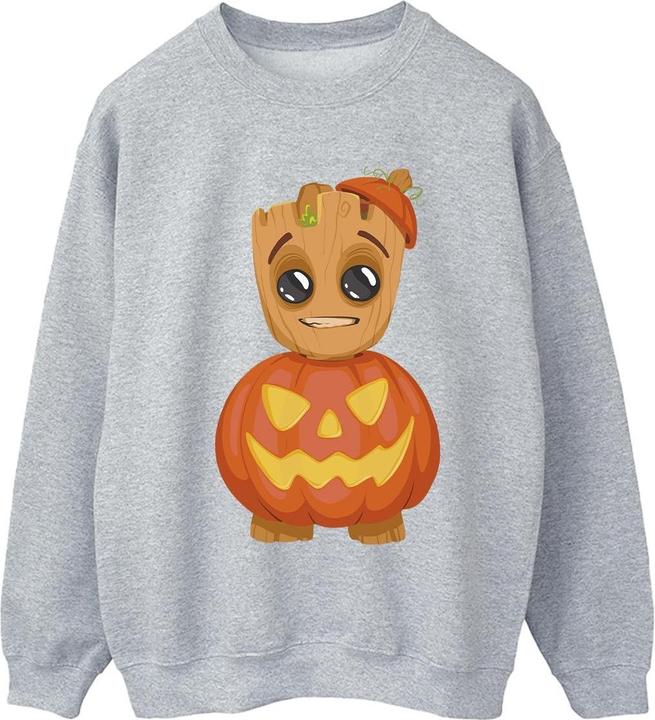 Produktbild Sweatshirt (4XL)