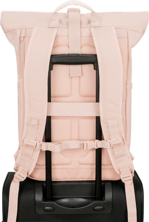 Produktbild Johnny Urban Allen (19 l)