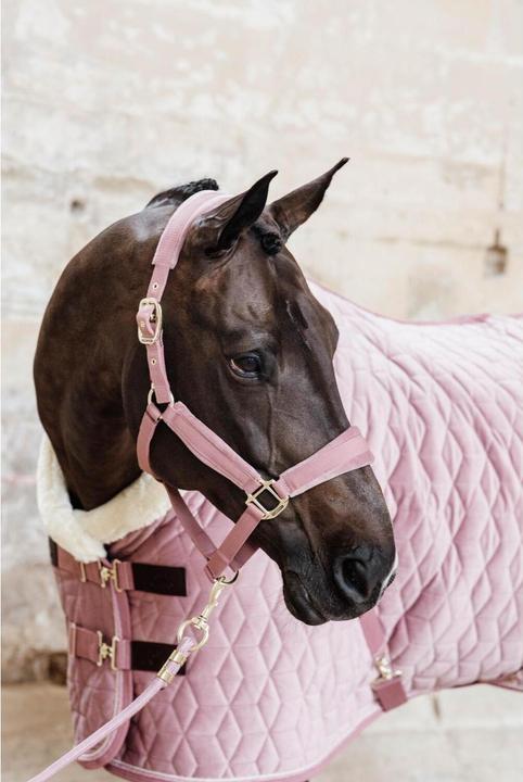 Kentucky Horsewear Basic