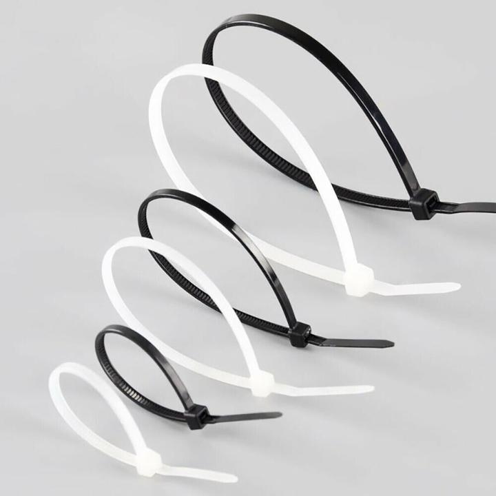 Produktbild Techly 306356 Nylon cable ties 10 (100 mm, 100 Stk.)