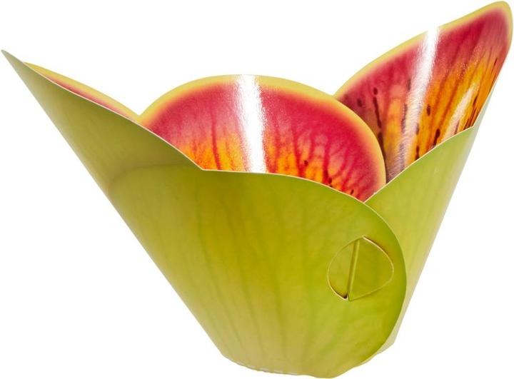 Image du produit Neocid Piège à mouches à fruit