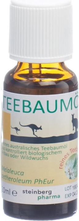 Actual product image Steinberg Pharma Tea tree oil