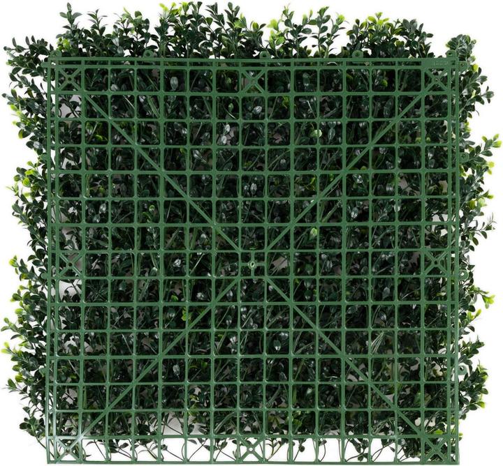 Actual product image Karat Boxwood plant wall (50 cm)