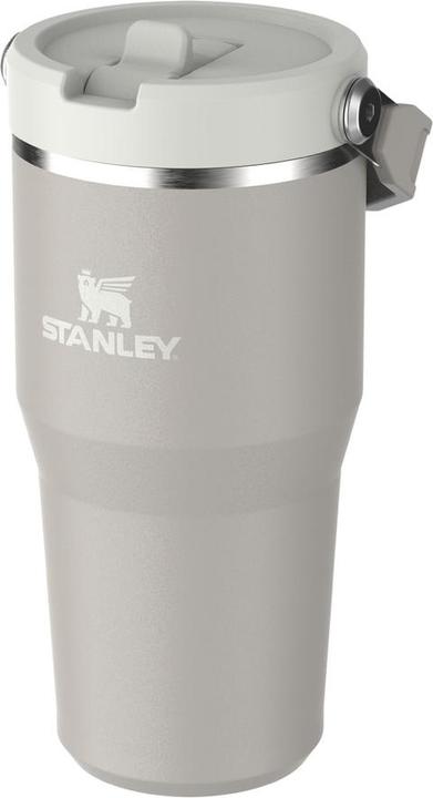 Immagine prodotto Stanley IceFlow Flip Straw 2.0 Tumbler, 600 ml, Ash (0.60 l)