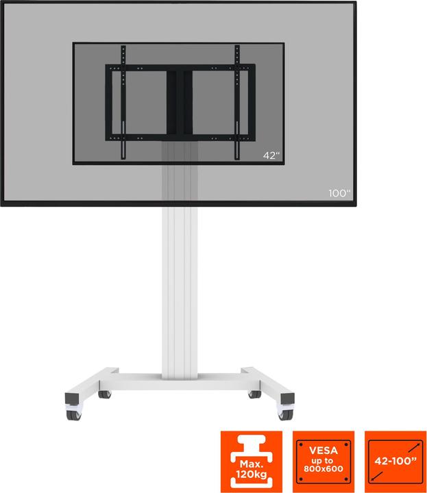 Produktbild Celexon Professional Plus Display-Rollwagen Fixed-42100-LP Landscape/Portrait (100", 120 kg)