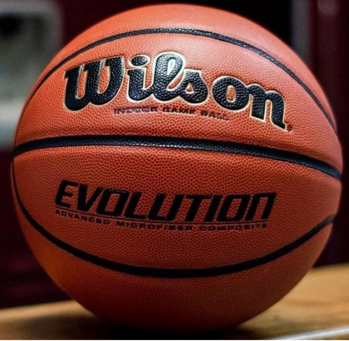Actual product image Wilson Evolution Game Ball (7)