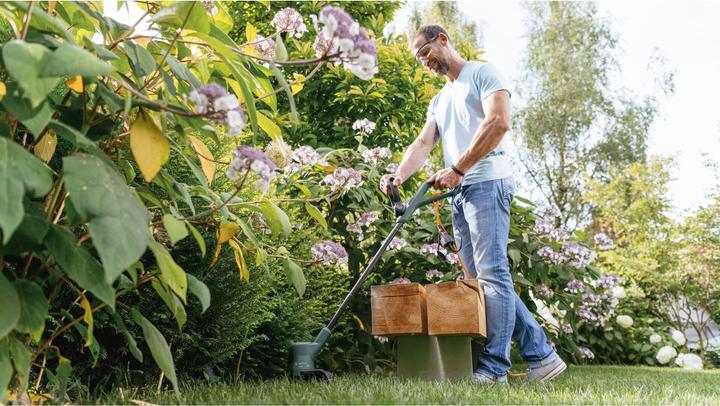 Actual product image Bosch Home & Garden EasyGrassCut 26 (Trim line)