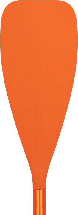 Actual product image Itiwit 100 3P (220 cm, 2-piece)