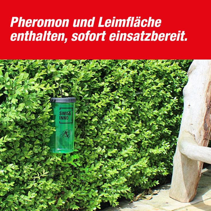 Actual product image Swissinno Buchsbaumzünsler-Falle inkl. 1x Pheromon