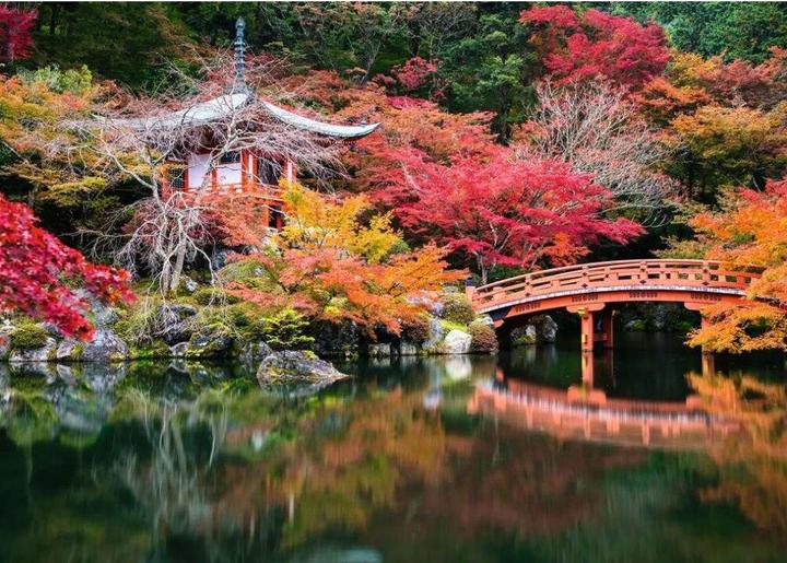 Actual product image Ravensburger Beautiful Gardens - Daigo-ji, Kyoto (1000 pieces)
